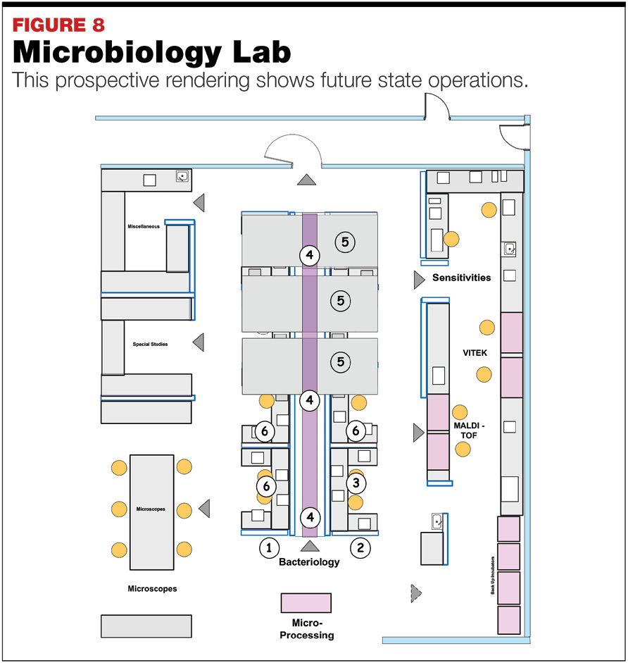 microbiology lab layout design